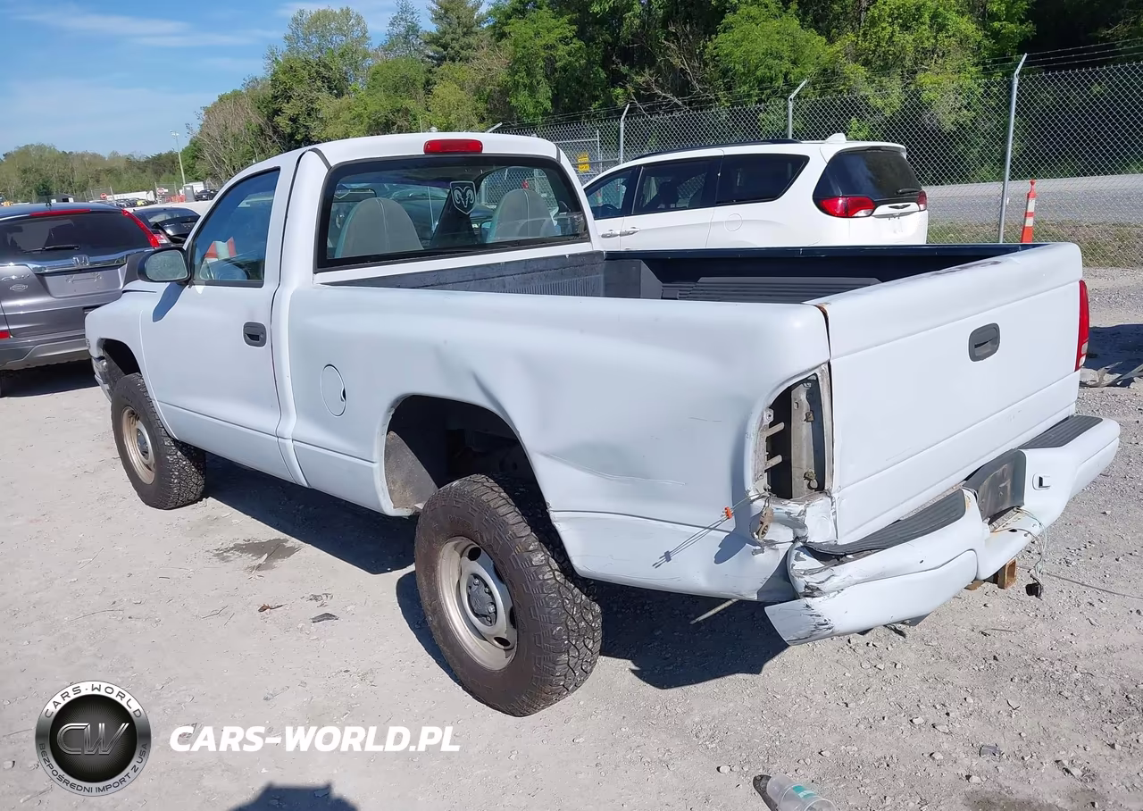 1999 Dodge Dakota Slt-Sport VIN:1B7GG26X3XS211573 - 3