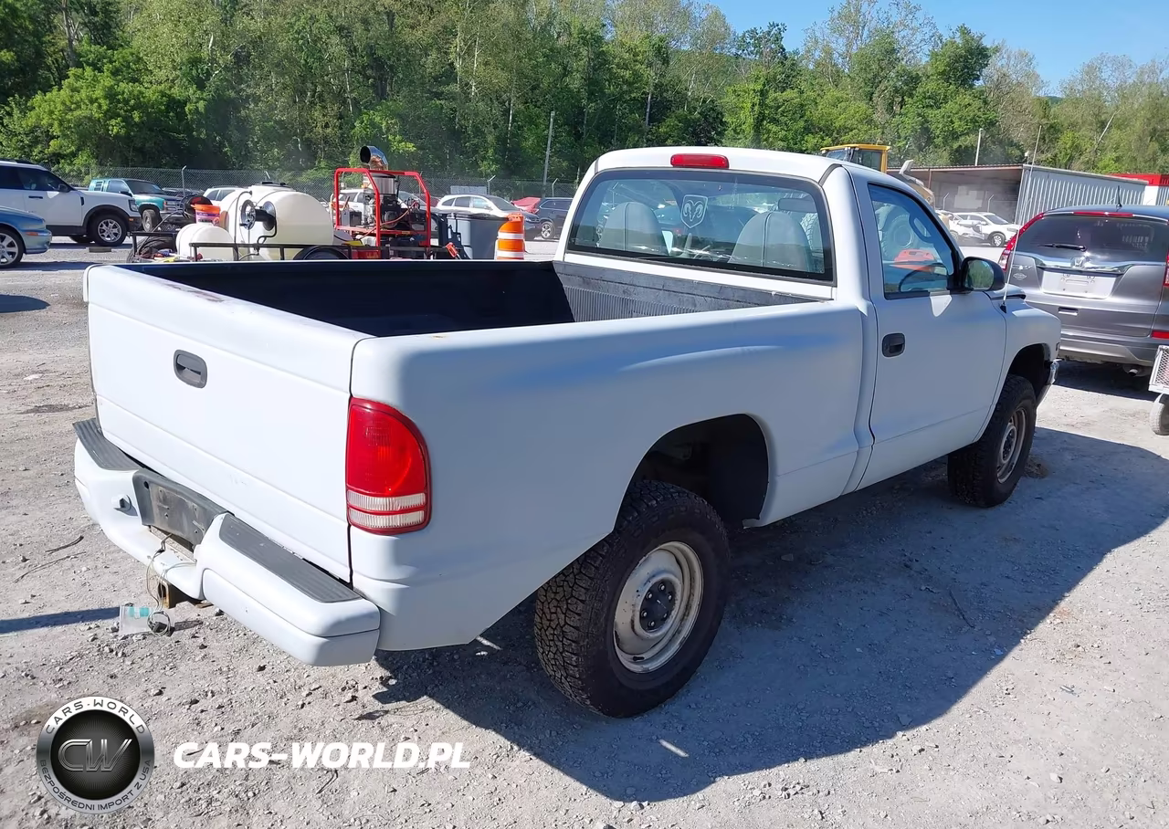 1999 Dodge Dakota Slt-Sport VIN:1B7GG26X3XS211573 - 4