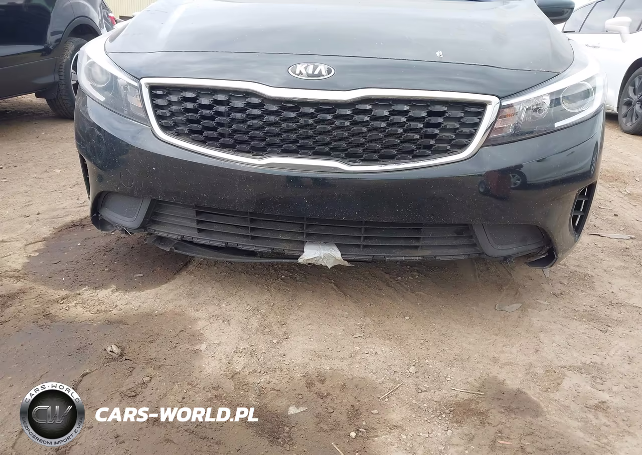 2018 Kia Forte Lx VIN:3KPFK4A76JE182884 - 17