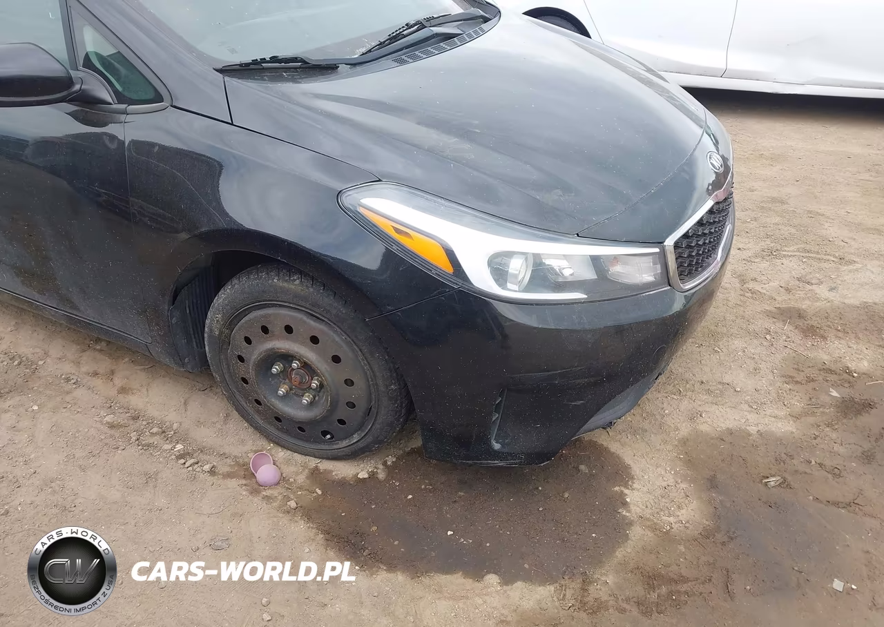 2018 Kia Forte Lx VIN:3KPFK4A76JE182884 - 18
