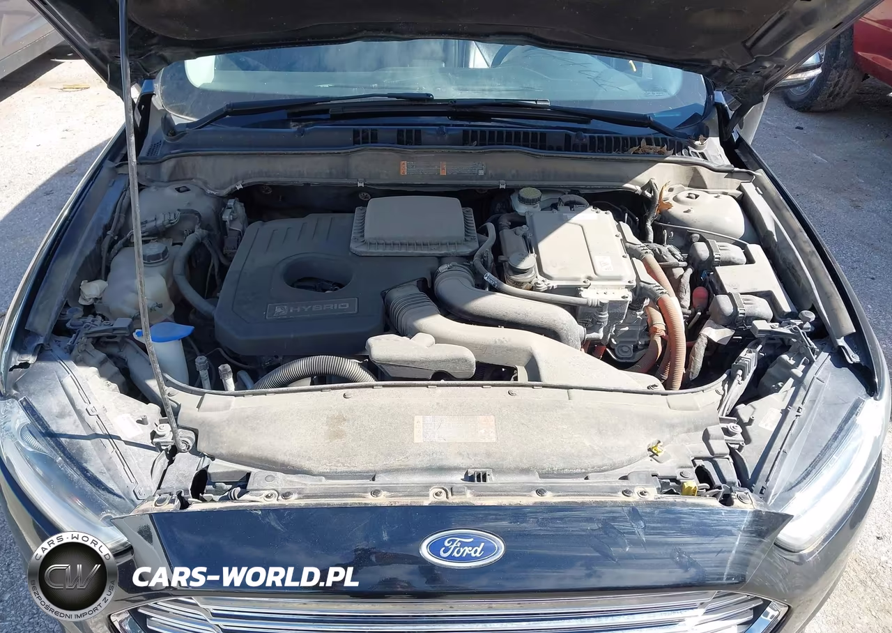 2016 Ford Fusion Hybrid Titanium VIN:3FA6P0RU4GR143691 - 10