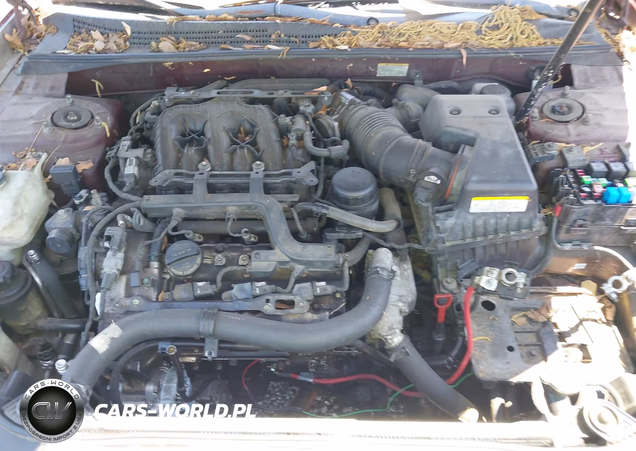 2007 Hyundai Sonata VIN:5NPEU46F17H205546 - 10