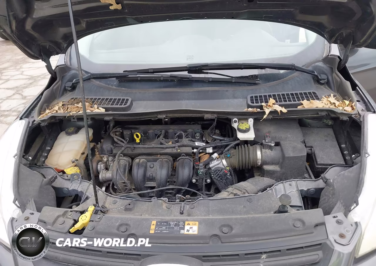 2016 Ford Escape S VIN:1FMCU0F79GUB32792 - 10