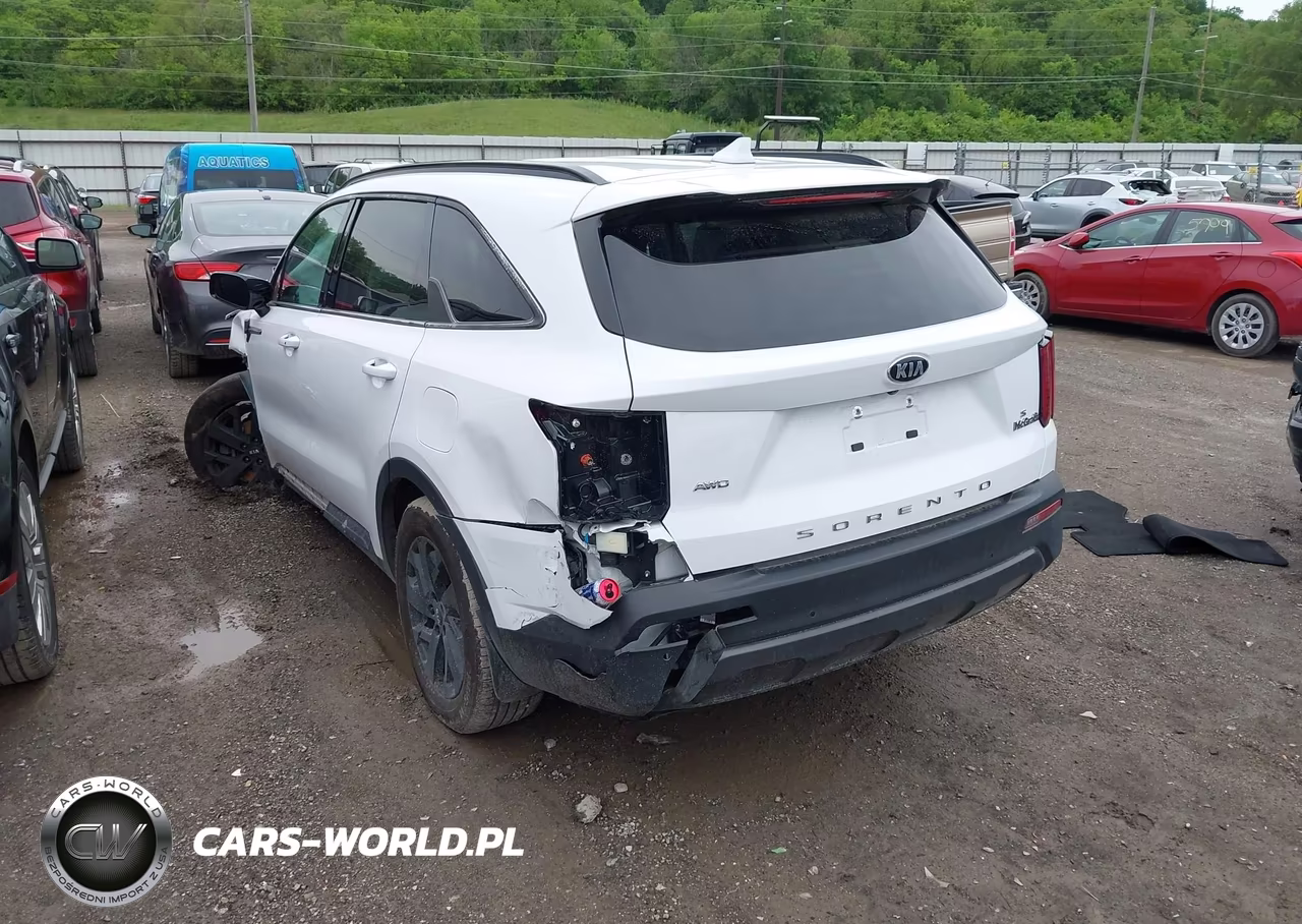 2021 Kia Sorento S VIN:5XYRLDLC3MG021078 - 3