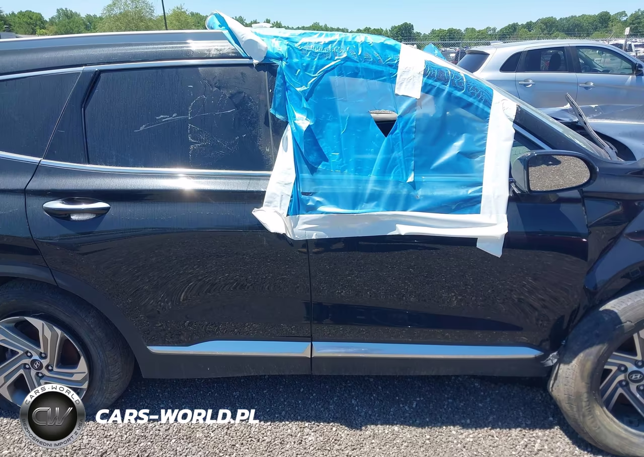 2022 Hyundai Santa Fe Sel VIN:5NMS3DAJ1NH382254 - 13
