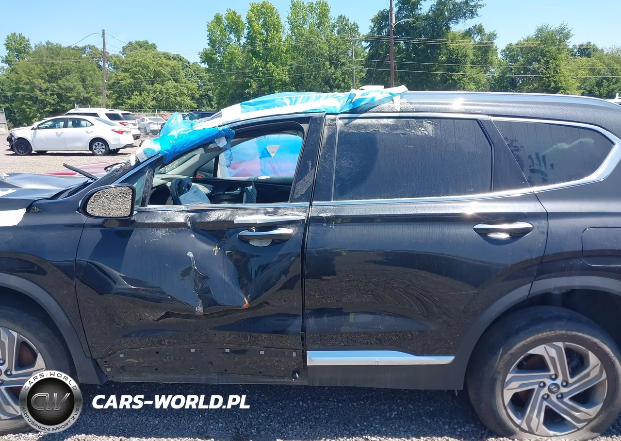 2022 Hyundai Santa Fe Sel VIN:5NMS3DAJ1NH382254 - 14