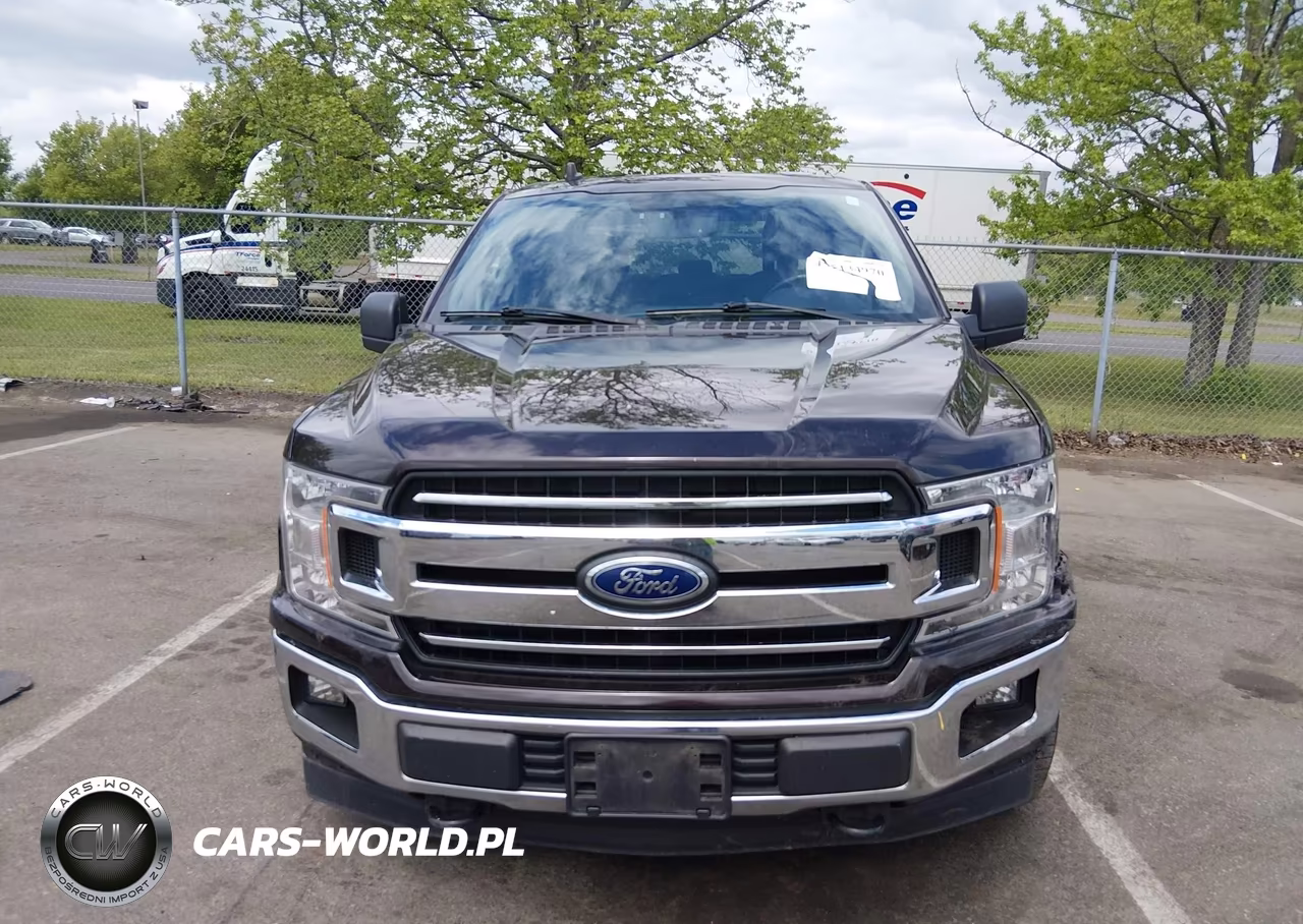 2019 Ford F-150 Xlt VIN:1FTEW1EBXKFB49195 - 12