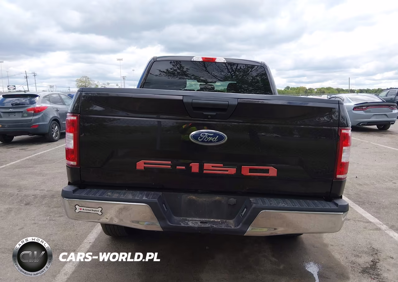 2019 Ford F-150 Xlt VIN:1FTEW1EBXKFB49195 - 16