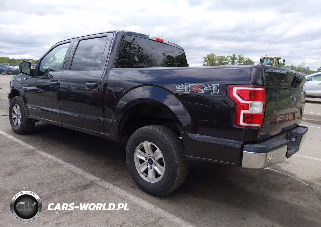 2019 Ford F-150 Xlt VIN:1FTEW1EBXKFB49195 - 3