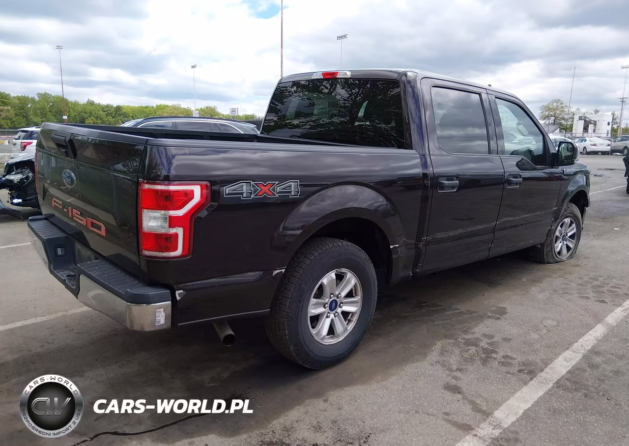 2019 Ford F-150 Xlt VIN:1FTEW1EBXKFB49195 - 4