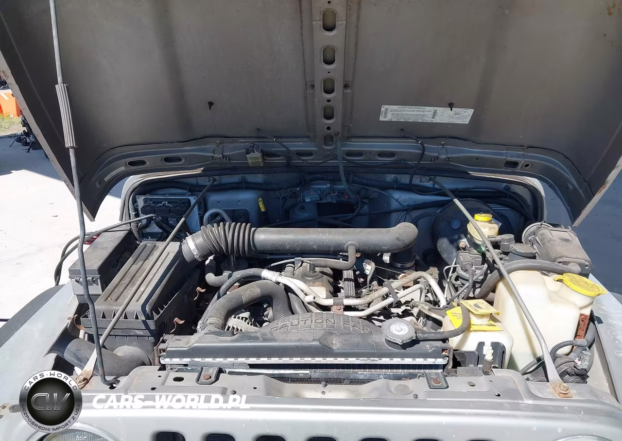 2002 Jeep Wrangler Sport VIN:1J4FA49S12P700259 - 10