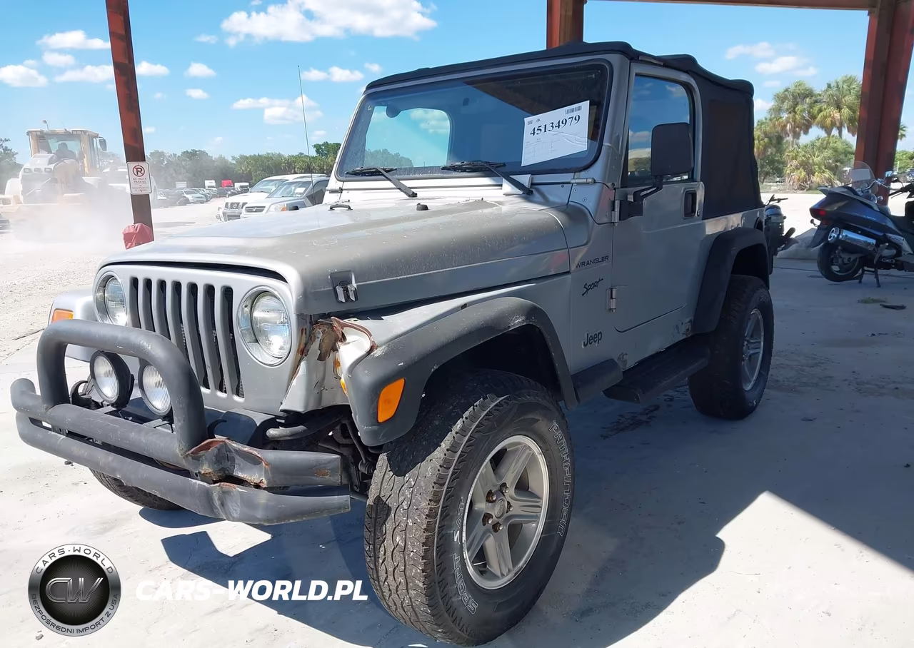 2002 Jeep Wrangler Sport VIN:1J4FA49S12P700259 - 2