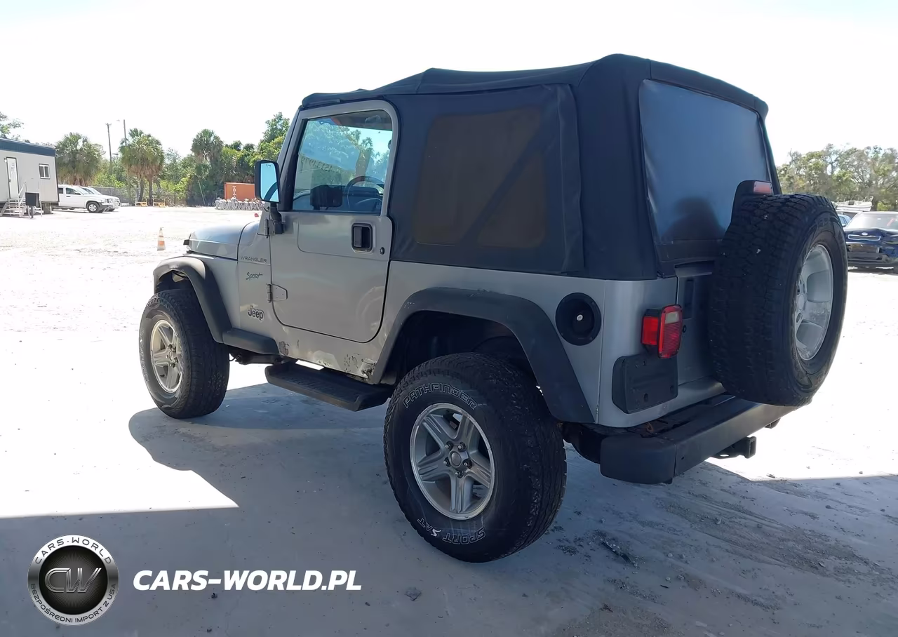 2002 Jeep Wrangler Sport VIN:1J4FA49S12P700259 - 3