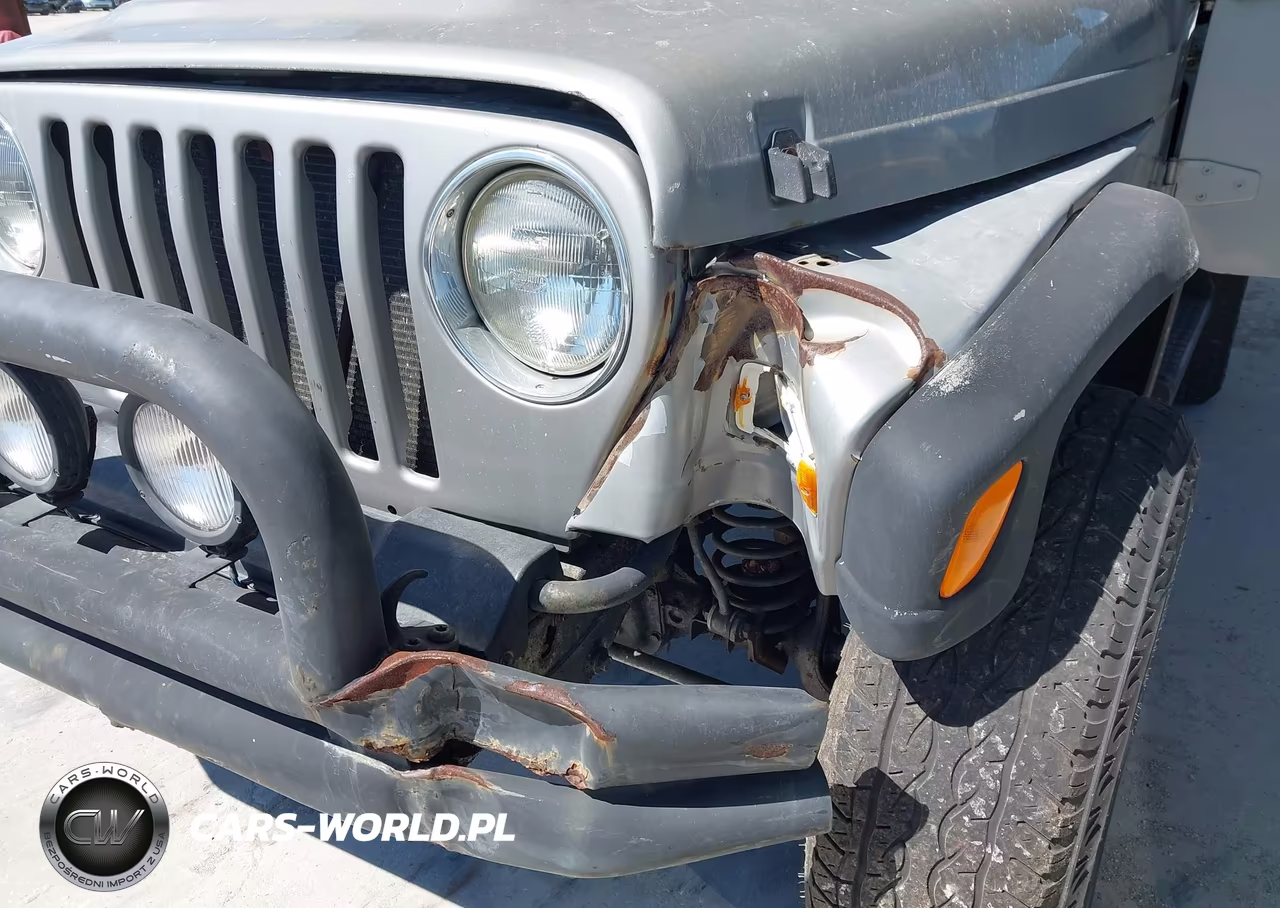 2002 Jeep Wrangler Sport VIN:1J4FA49S12P700259 - 6