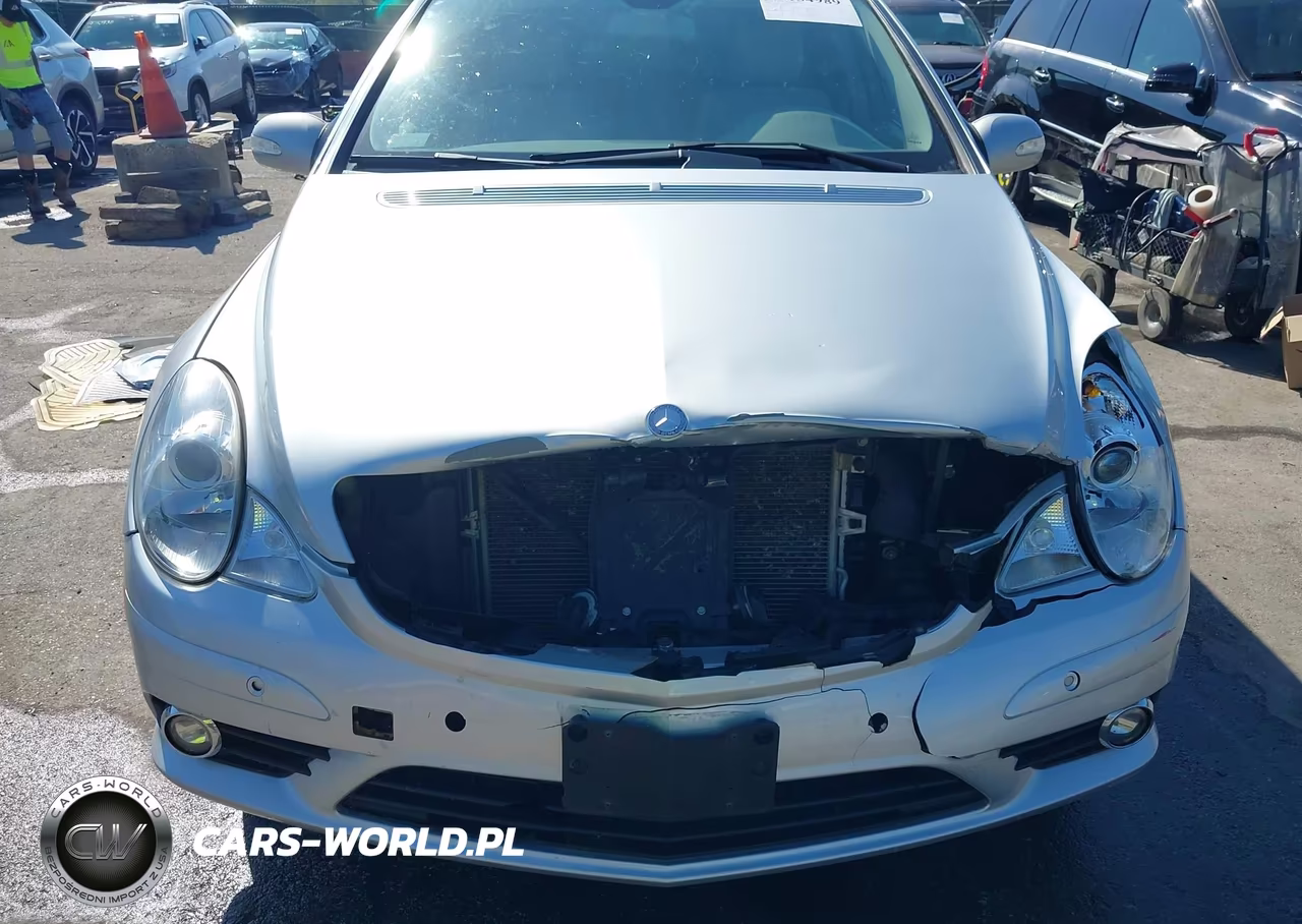 2008 Mercedes-Benz R 350 4Matic VIN:4JGCB65E08A074583 - 6