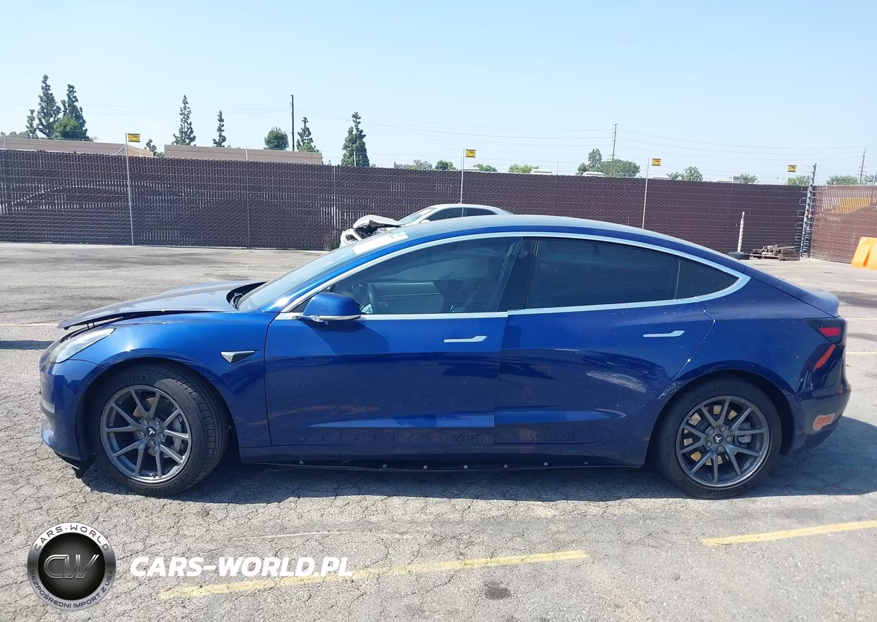 2020 Tesla Model 3 Long Range Dual Motor All-Wheel Drive VIN:5YJ3E1EB8LF711045 - 13