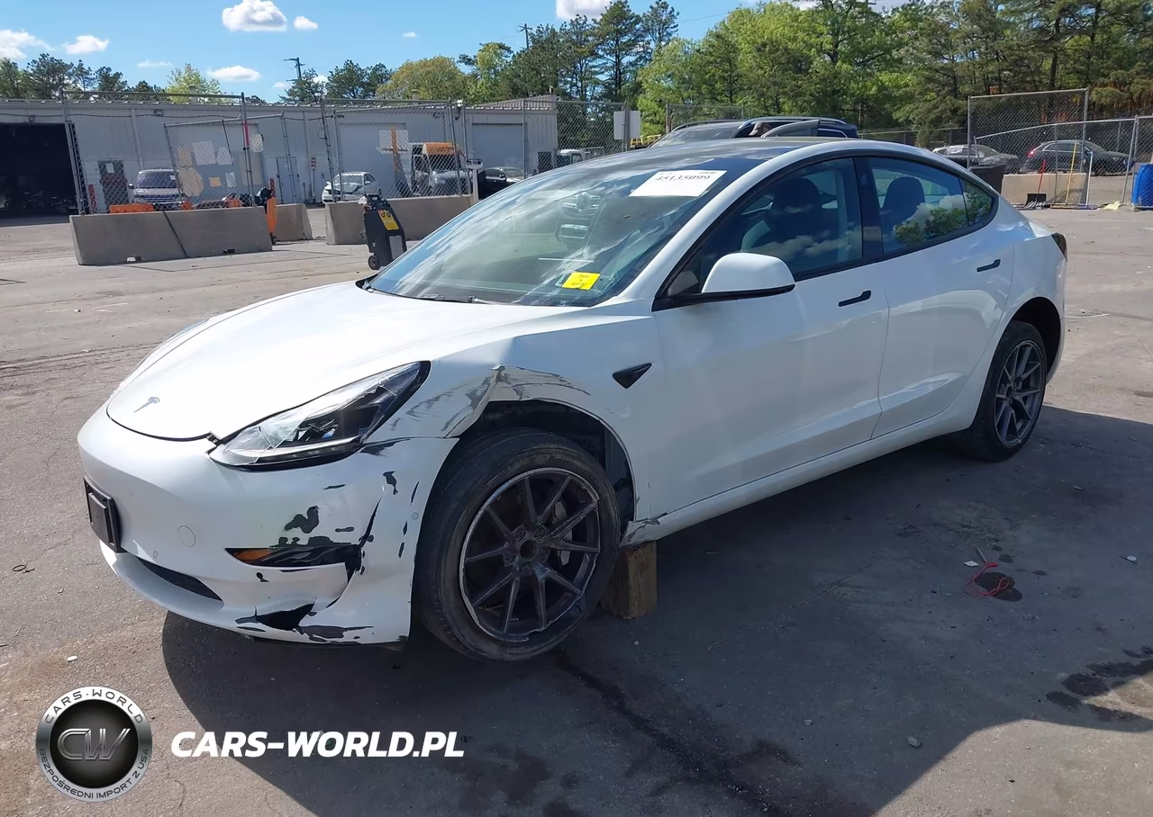 2022 Tesla Model 3 Rear-Wheel Drive VIN:5YJ3E1EA0NF112697 - 2