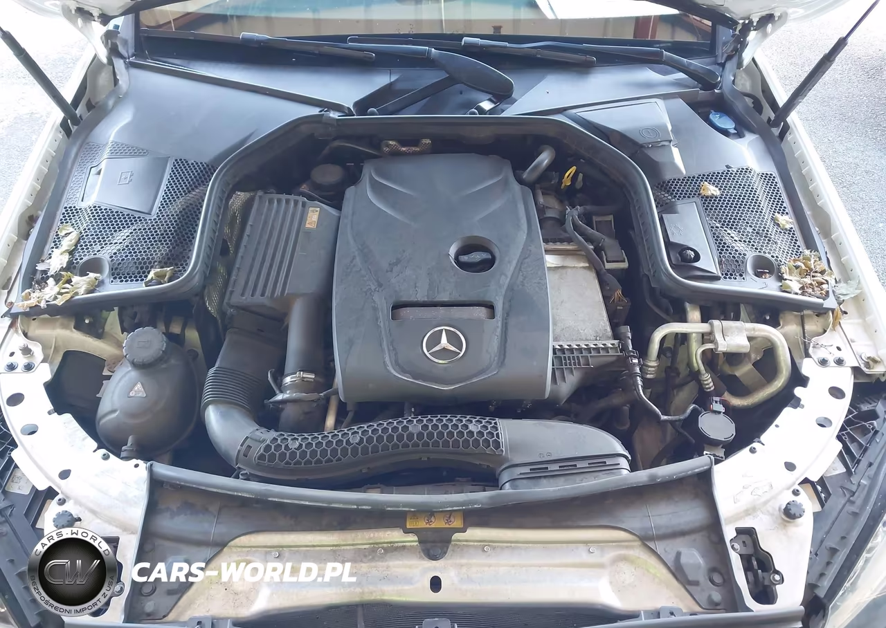 2017 Mercedes-Benz C 300 VIN:55SWF4JBXHU179532 - 10