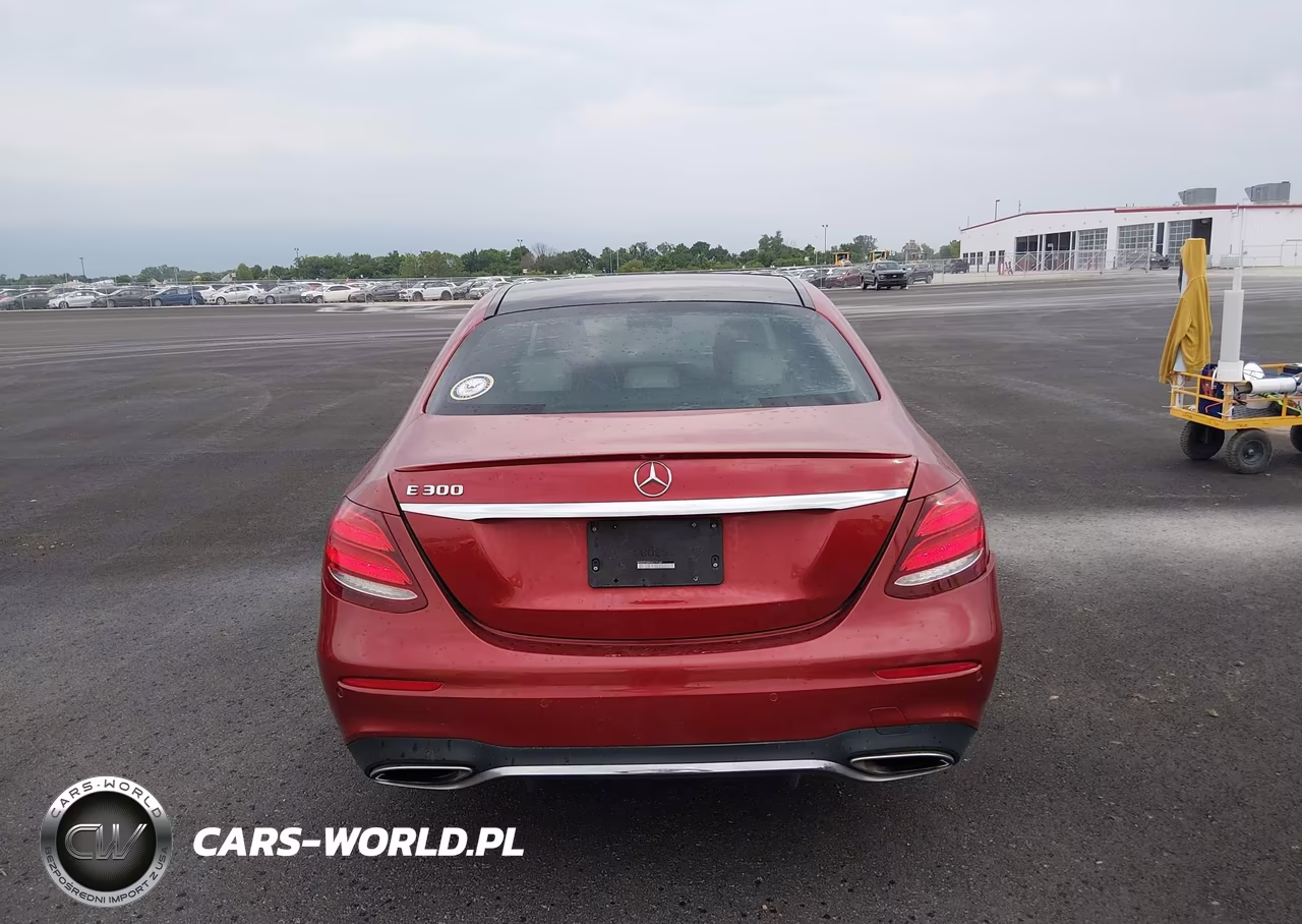 2017 Mercedes-Benz E 300 VIN:WDDZF4JB8HA119164 - 16
