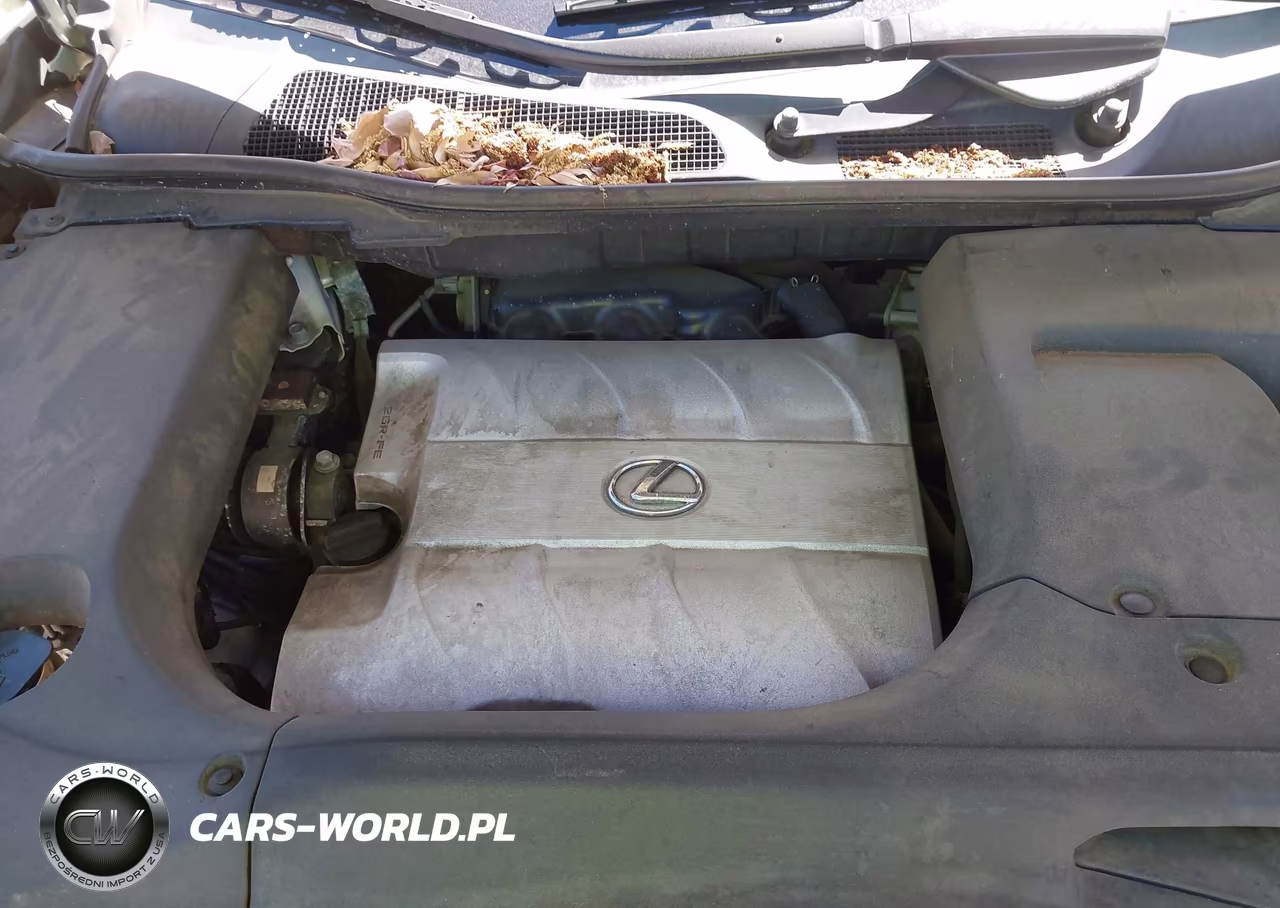 2010 Lexus Rx 350 VIN:2T2BK1BA5AC010847 - 10