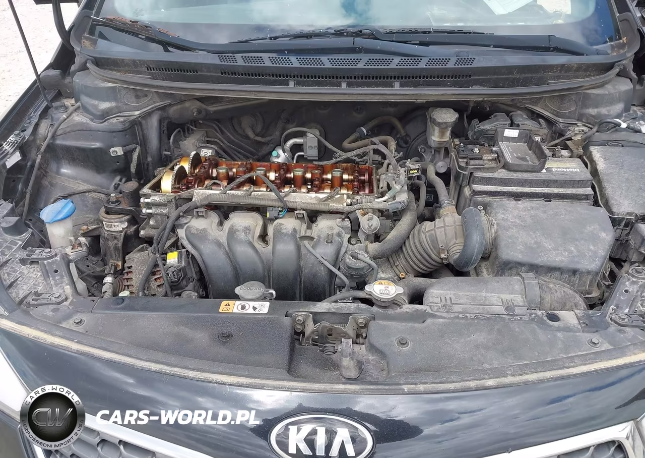 2016 Kia Forte Lx VIN:KNAFK4A6XG5575327 - 10