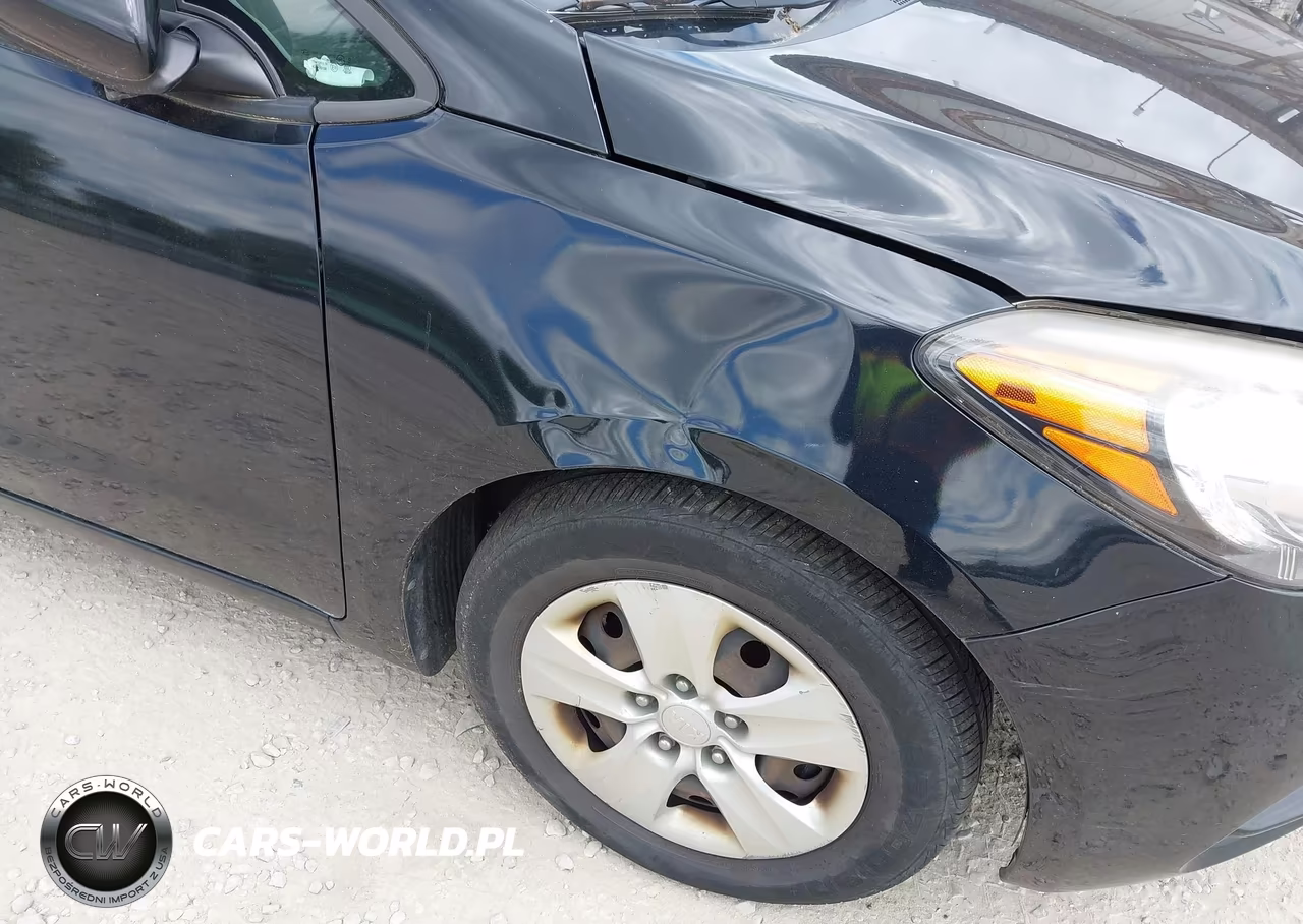 2016 Kia Forte Lx VIN:KNAFK4A6XG5575327 - 6