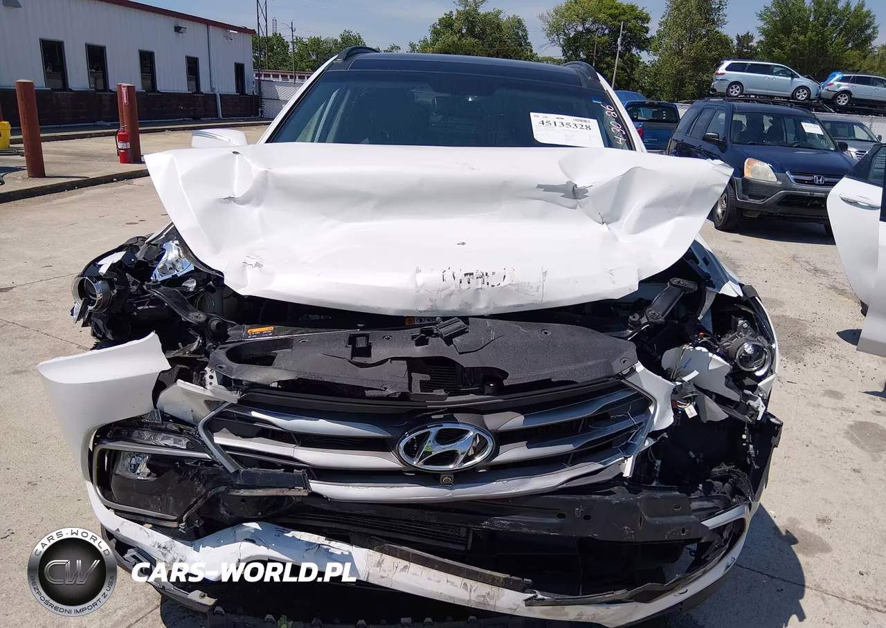 2017 Hyundai Santa Fe Sport 2.0T Ultimate VIN:5NMZW4LA5HH046016 - 6