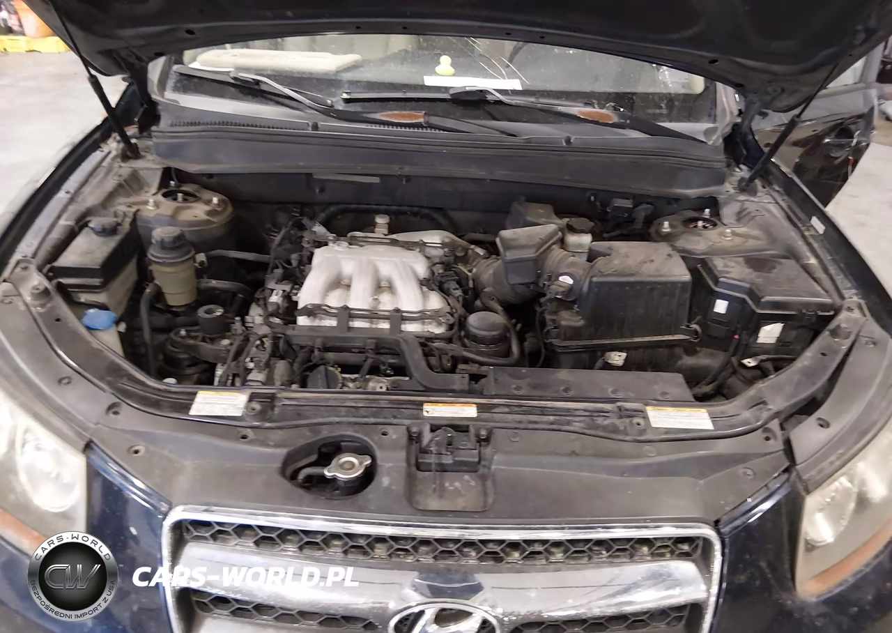 2007 Hyundai Santa Fe Limited-Se VIN:5NMSH13E27H036250 - 10