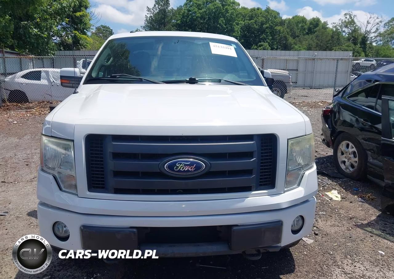 2010 Ford F-150 Fx4-Harley-Davidson-King Ranch-Lariat-Platinum-Xl-Xlt VIN:1FTFW1EV8AFD96633 - 12