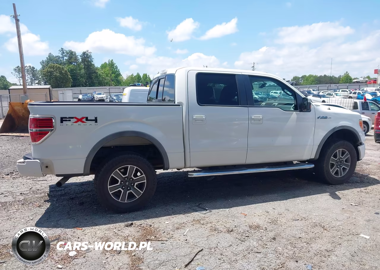 2010 Ford F-150 Fx4-Harley-Davidson-King Ranch-Lariat-Platinum-Xl-Xlt VIN:1FTFW1EV8AFD96633 - 13