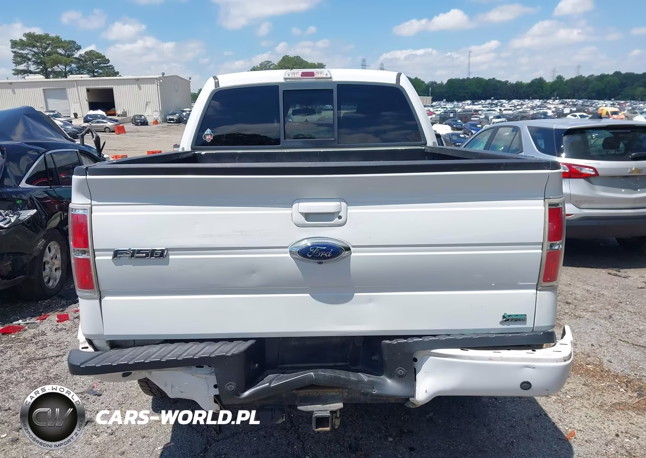 2010 Ford F-150 Fx4-Harley-Davidson-King Ranch-Lariat-Platinum-Xl-Xlt VIN:1FTFW1EV8AFD96633 - 16