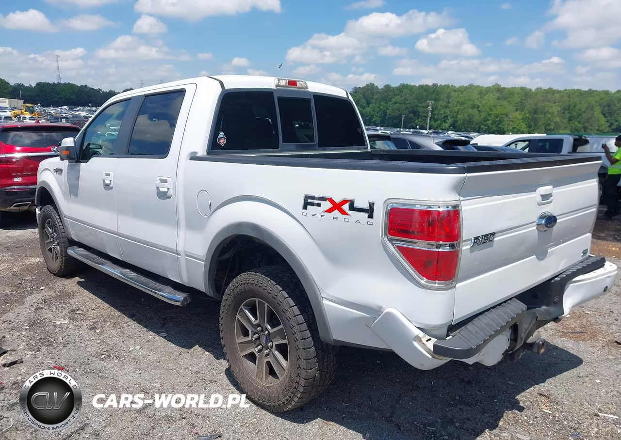 2010 Ford F-150 Fx4-Harley-Davidson-King Ranch-Lariat-Platinum-Xl-Xlt VIN:1FTFW1EV8AFD96633 - 3