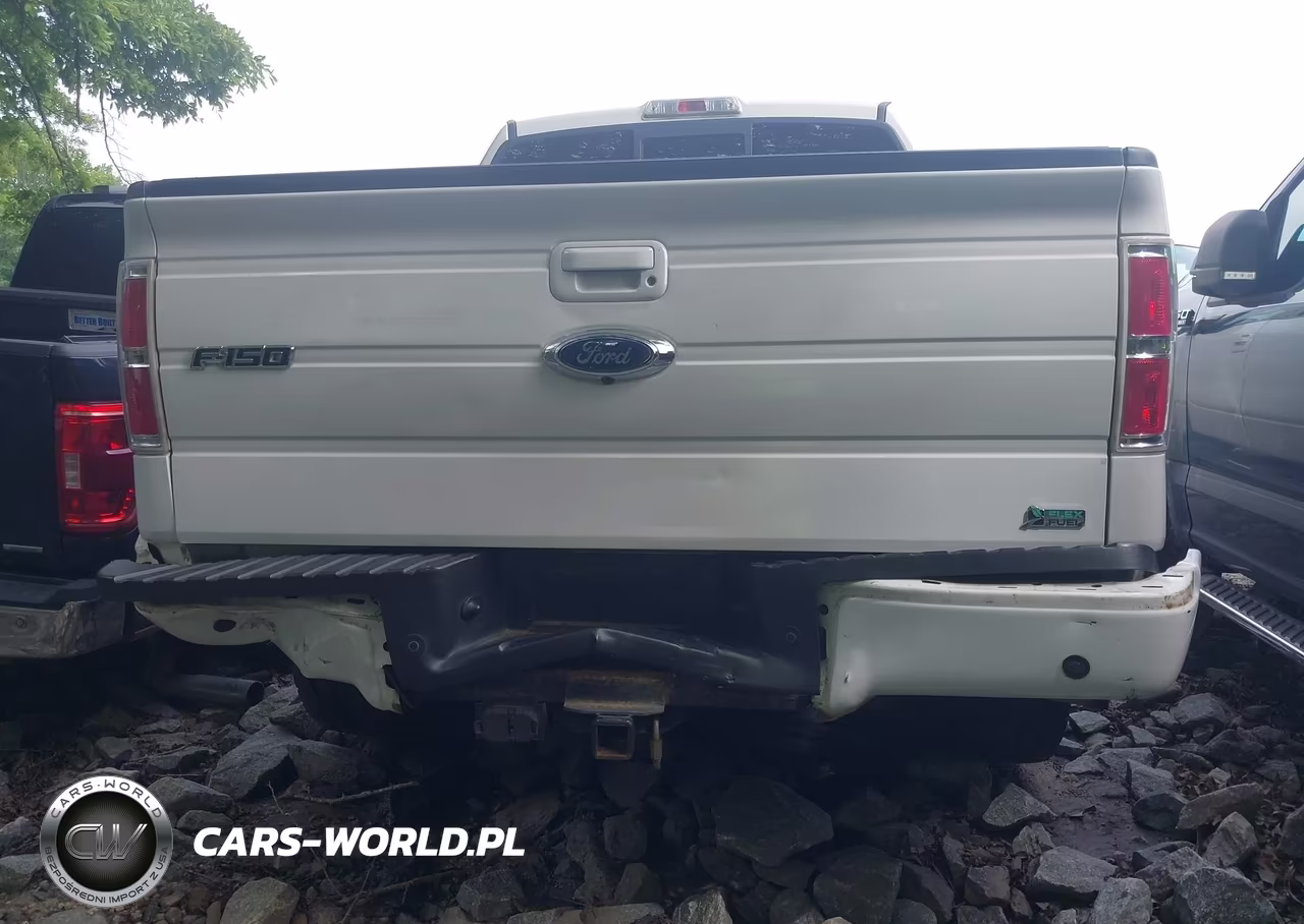2010 Ford F-150 Fx4-Harley-Davidson-King Ranch-Lariat-Platinum-Xl-Xlt VIN:1FTFW1EV8AFD96633 - 6