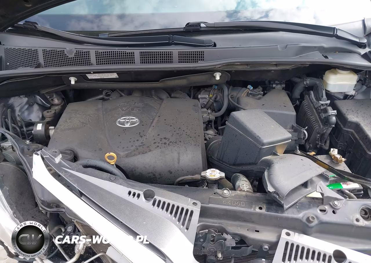 2020 Toyota Sienna Xle VIN:5TDYZ3DC3LS038886 - 10