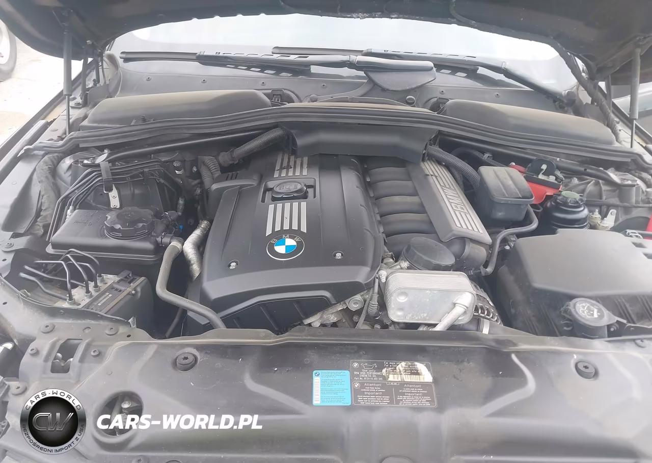 2009 BMW 528I VIN:WBANU53589C119924 - 10