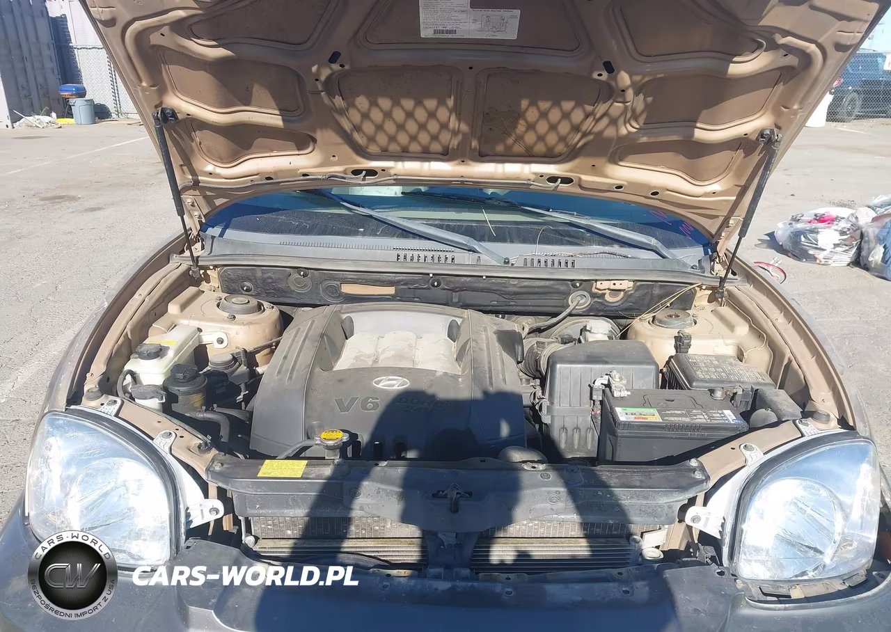 2003 Hyundai Santa Fe Gls-Lx VIN:KM8SC13D13U469711 - 10