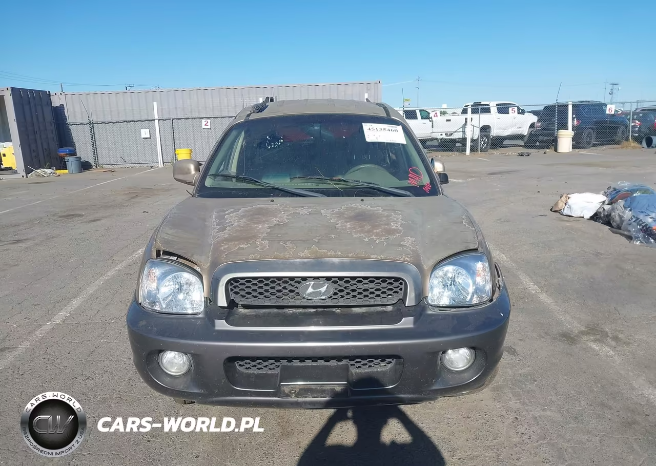 2003 Hyundai Santa Fe Gls-Lx VIN:KM8SC13D13U469711 - 13