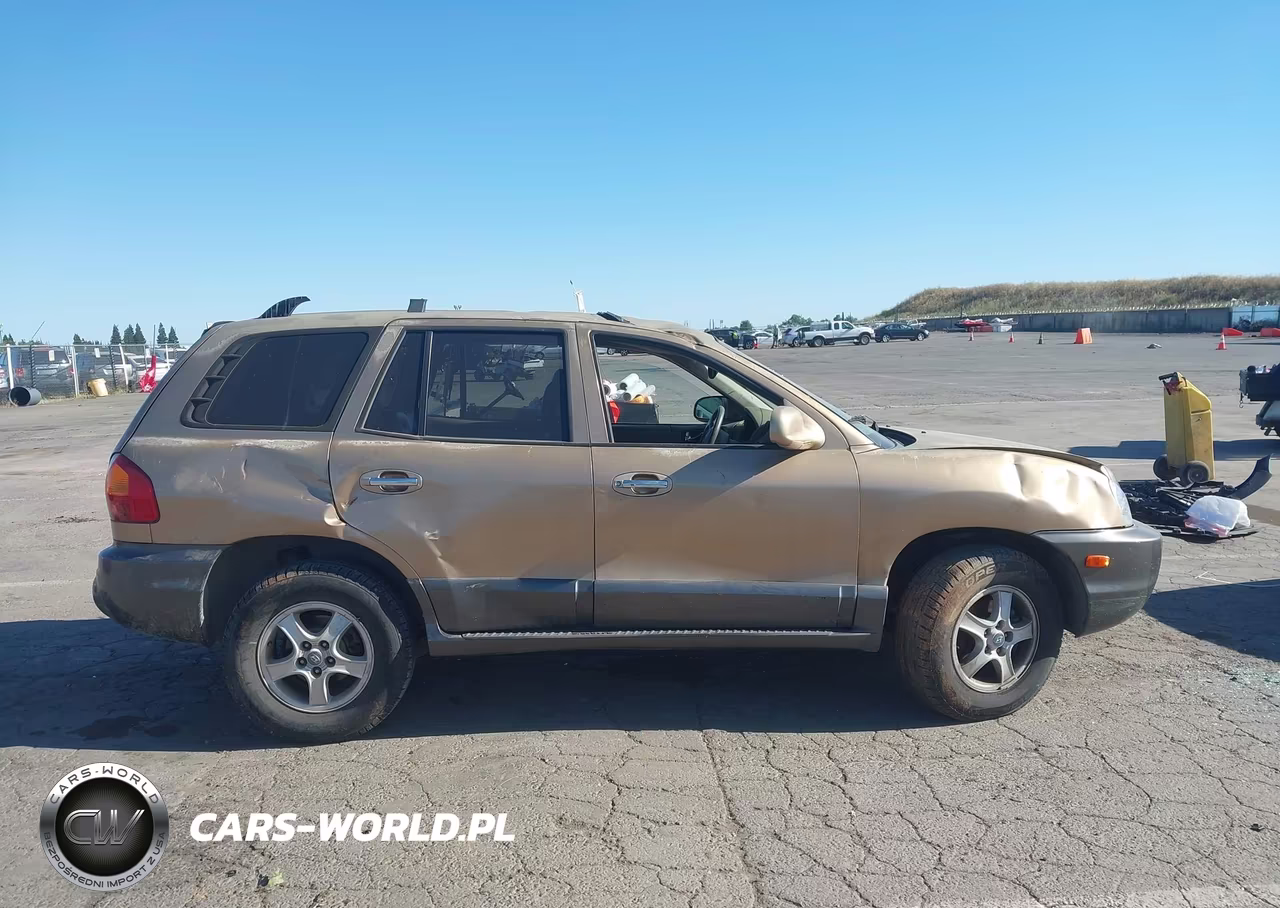 2003 Hyundai Santa Fe Gls-Lx VIN:KM8SC13D13U469711 - 14