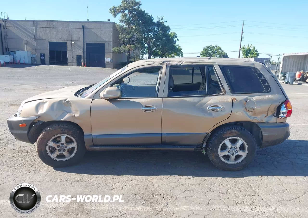 2003 Hyundai Santa Fe Gls-Lx VIN:KM8SC13D13U469711 - 15