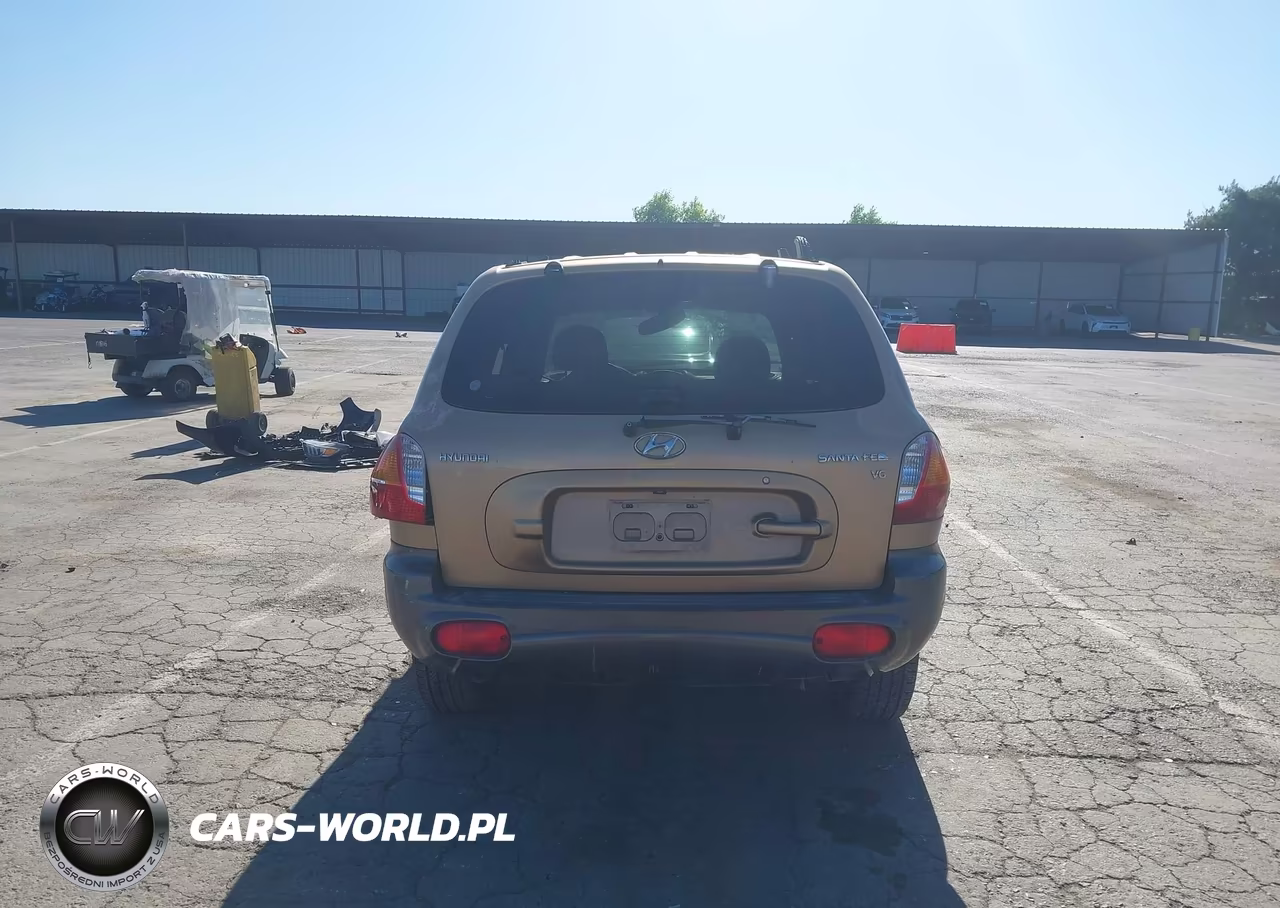 2003 Hyundai Santa Fe Gls-Lx VIN:KM8SC13D13U469711 - 17