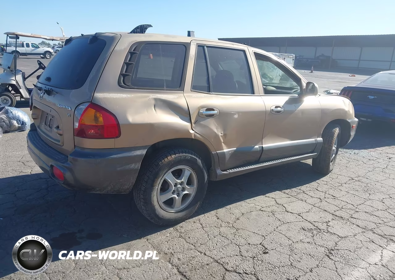 2003 Hyundai Santa Fe Gls-Lx VIN:KM8SC13D13U469711 - 4