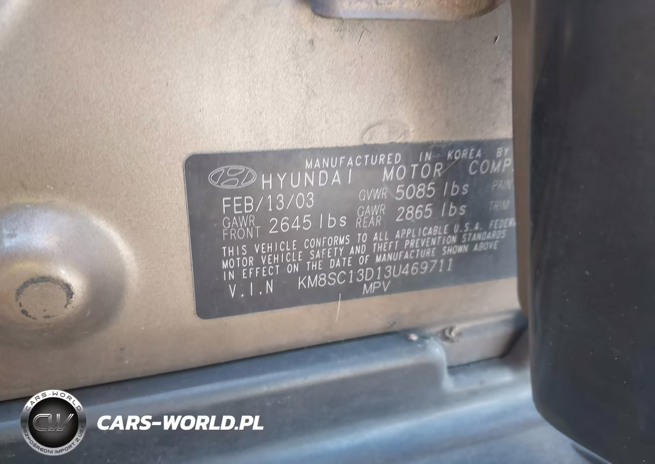 2003 Hyundai Santa Fe Gls-Lx VIN:KM8SC13D13U469711 - 9