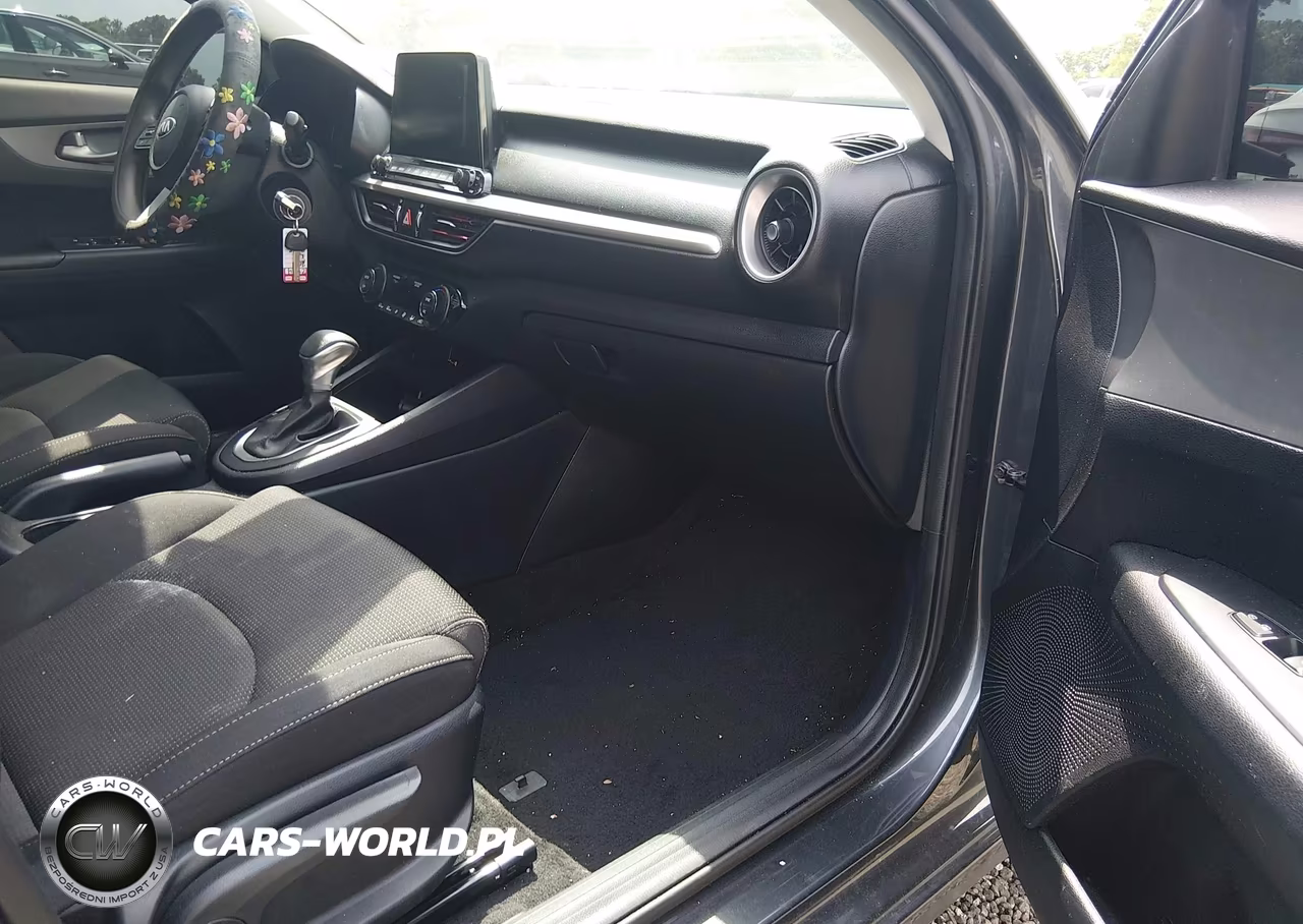 2019 Kia Forte Fe VIN:3KPF24AD1KE106643 - 5