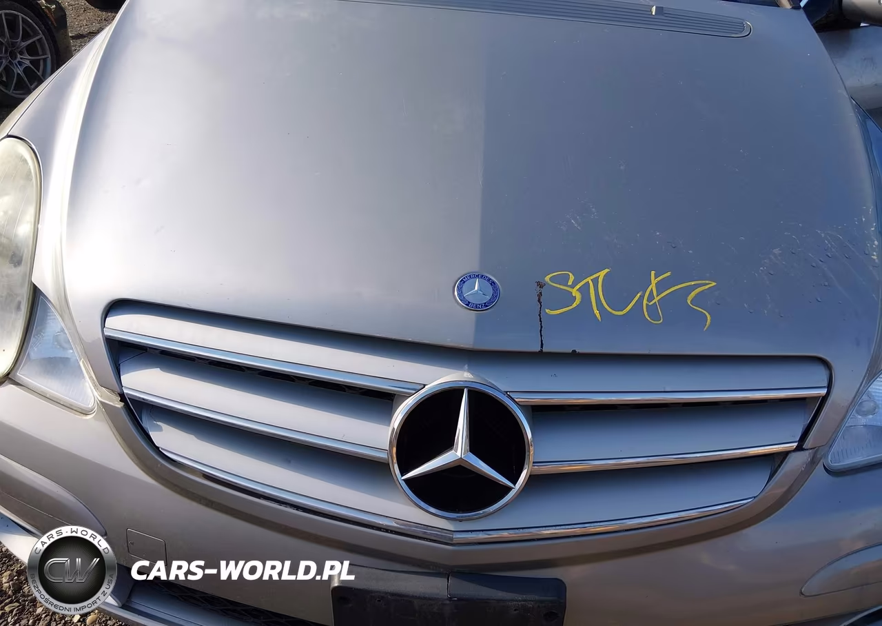 2006 Mercedes-Benz R 500 4Matic VIN:4JGCB75E46A015829 - 10