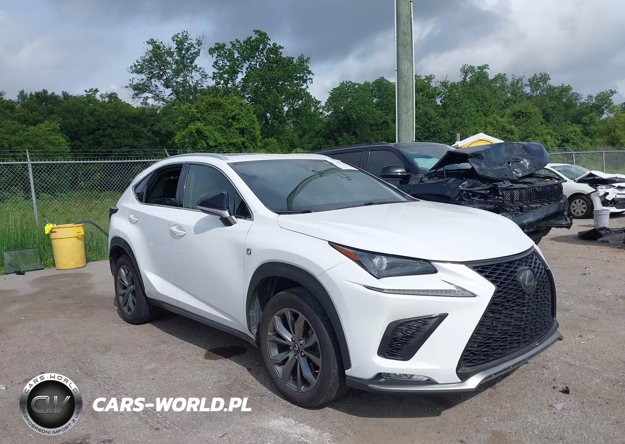 2020 Lexus Nx 300 F Sport
