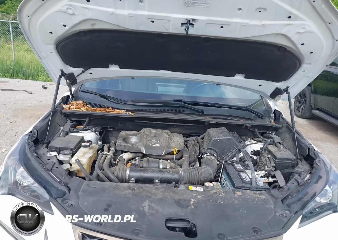 2020 Lexus Nx 300 F Sport VIN:JTJSARBZ4L2166341 - 10