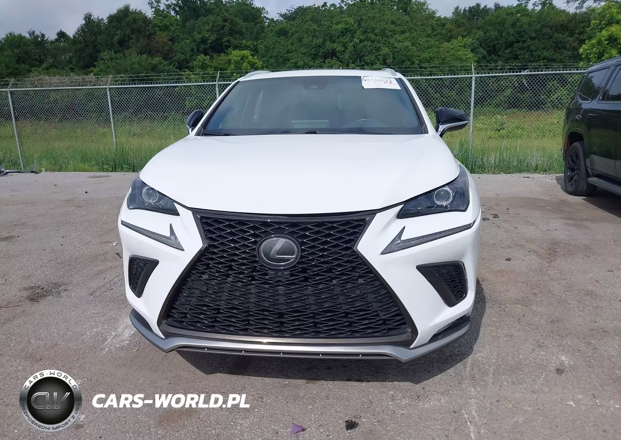 2020 Lexus Nx 300 F Sport VIN:JTJSARBZ4L2166341 - 12