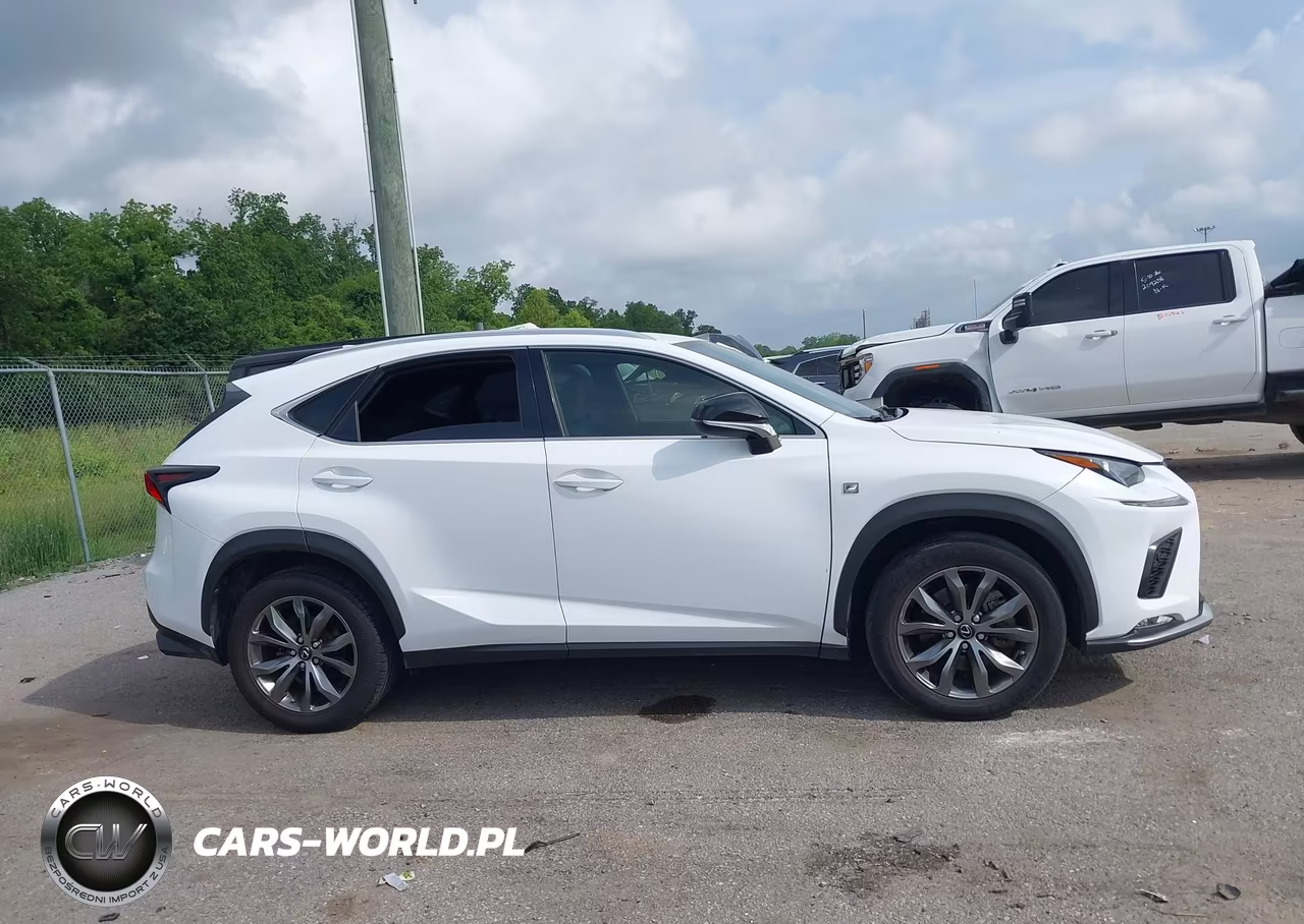 2020 Lexus Nx 300 F Sport VIN:JTJSARBZ4L2166341 - 13