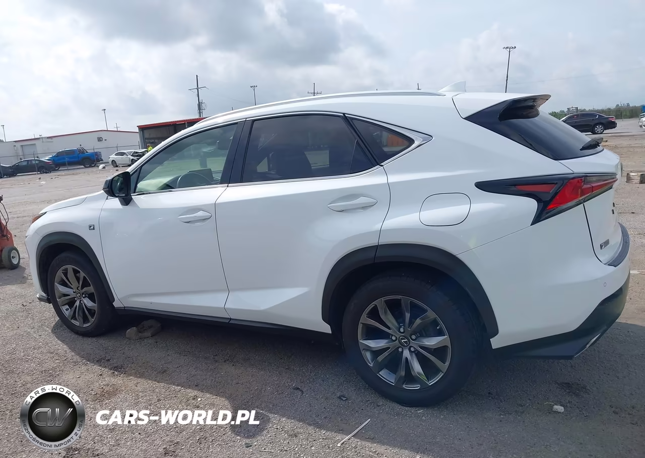 2020 Lexus Nx 300 F Sport VIN:JTJSARBZ4L2166341 - 14
