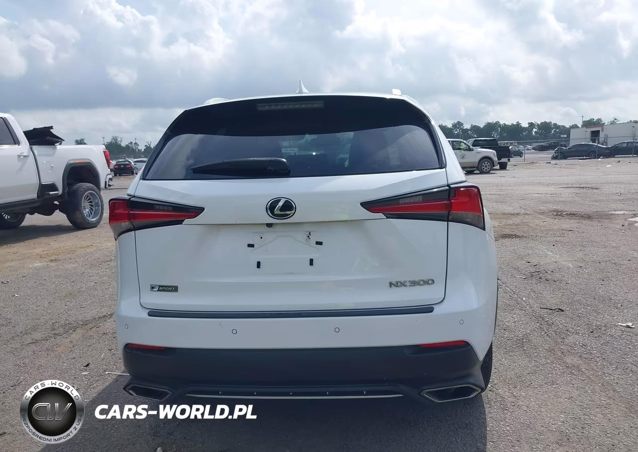 2020 Lexus Nx 300 F Sport VIN:JTJSARBZ4L2166341 - 16